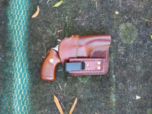 CHarter Arms IWB (1)