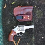 CHarter Arms IWB (2)